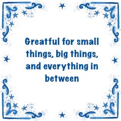 Greatful for small things